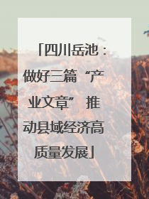 四川岳池：做好三篇“产业文章” 推动县域经济高质量发展