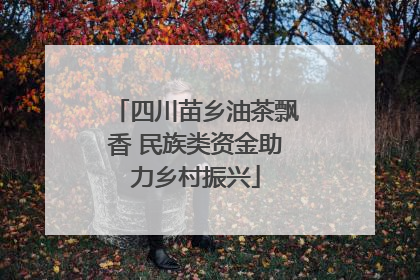 四川苗乡油茶飘香 民族类资金助力乡村振兴