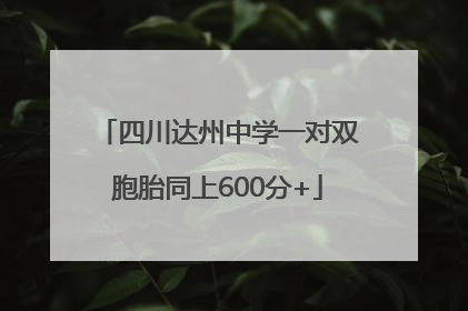 四川达州中学一对双胞胎同上600分+