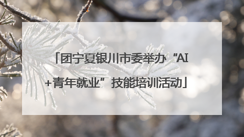 团宁夏银川市委举办“AI+青年就业”技能培训活动