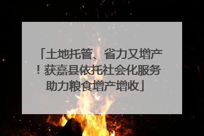 土地托管、省力又增产！获嘉县依托社会化服务助力粮食增产增收