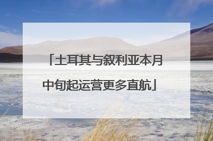 土耳其与叙利亚本月中旬起运营更多直航
