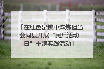 在红色足迹中淬炼担当 会同县开展“民兵活动日”主题实践活动