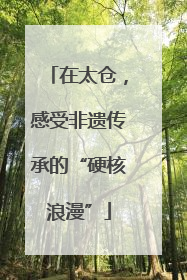 在太仓，感受非遗传承的“硬核浪漫”