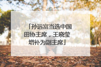 孙远富当选中国田协主席，王晓莹增补为副主席