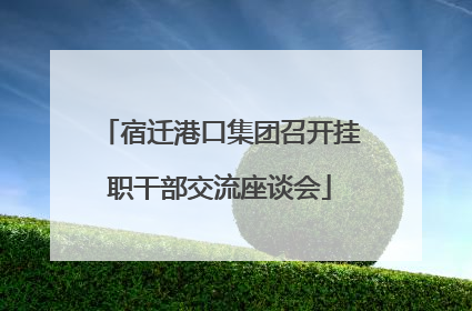 宿迁港口集团召开挂职干部交流座谈会