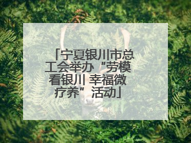 宁夏银川市总工会举办“劳模看银川 幸福微疗养”活动