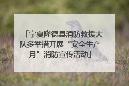 宁夏隆德县消防救援大队多举措开展“安全生产月”消防宣传活动