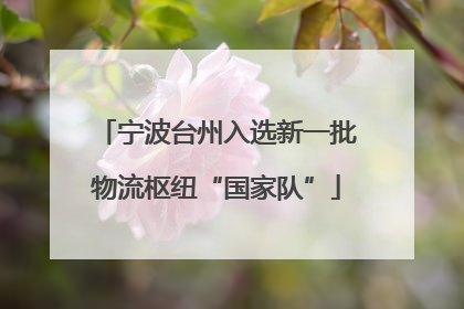 宁波台州入选新一批物流枢纽“国家队”