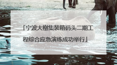 宁波大榭集装箱码头二期工程综合应急演练成功举行