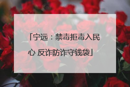 宁远：禁毒拒毒入民心 反诈防诈守钱袋