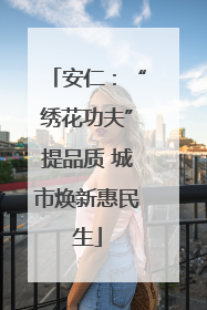 安仁：“绣花功夫”提品质 城市焕新惠民生