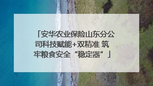 安华农业保险山东分公司科技赋能+双精准 筑牢粮食安全“稳定器”