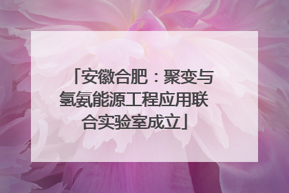 安徽合肥：聚变与氢氨能源工程应用联合实验室成立