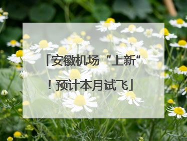 安徽机场“上新”！预计本月试飞