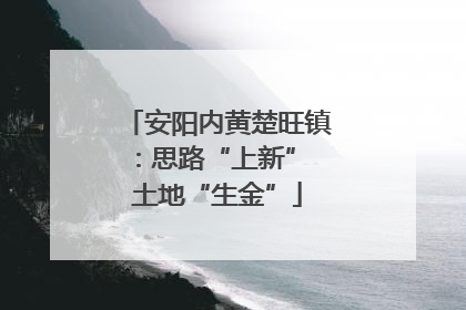 安阳内黄楚旺镇：思路“上新” 土地“生金”