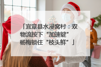 宜章县水浸窝村：双物流按下“加速键” 杨梅锁住“枝头鲜”