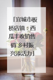 宜城市板桥店镇：西瓜丰收销售俏 乡村振兴添活力