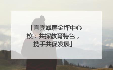 宜宾翠屏金坪中心校：共探教育特色，携手共促发展