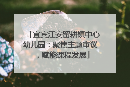 宜宾江安留耕镇中心幼儿园：聚焦主题审议，赋能课程发展