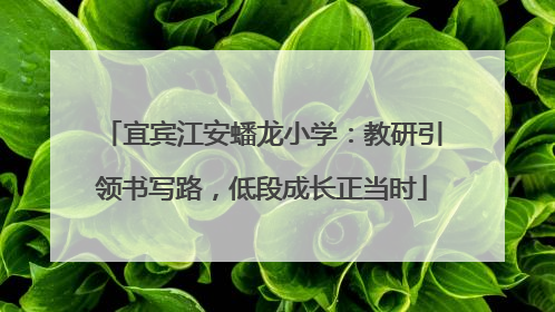 宜宾江安蟠龙小学：教研引领书写路，低段成长正当时