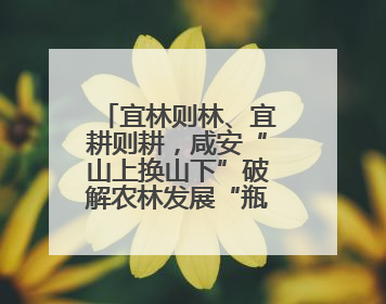 宜林则林、宜耕则耕，咸安“山上换山下”破解农林发展“瓶颈”