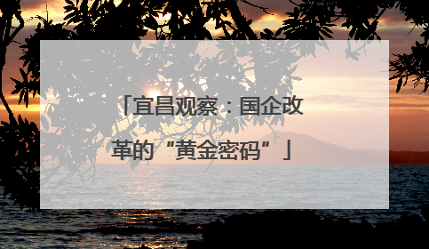 宜昌观察：国企改革的“黄金密码”