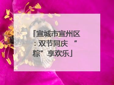 宣城市宣州区：双节同庆 “粽”享欢乐