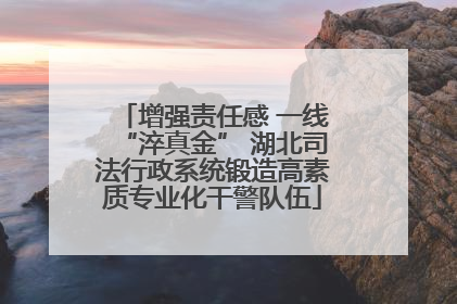 增强责任感 一线“淬真金” 湖北司法行政系统锻造高素质专业化干警队伍
