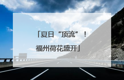 夏日“顶流”！福州荷花盛开