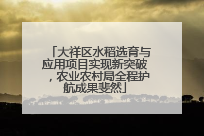 大祥区水稻选育与应用项目实现新突破，农业农村局全程护航成果斐然