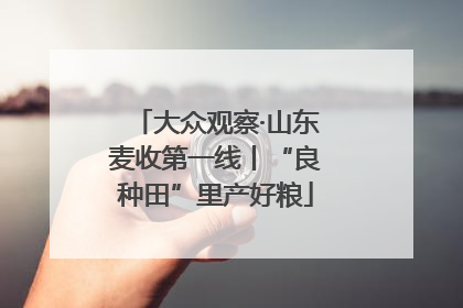 大众观察·山东麦收第一线丨“良种田”里产好粮