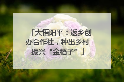 大悟阳平：返乡创办合作社，种出乡村振兴“金稻子”