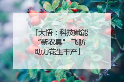 大悟：科技赋能“新农具” 飞防助力花生丰产