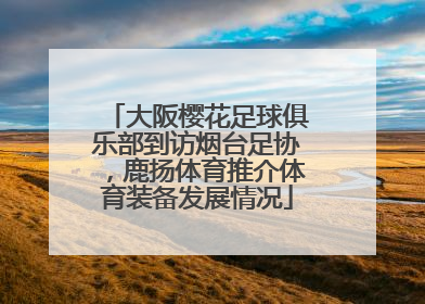 大阪樱花足球俱乐部到访烟台足协，鹿扬体育推介体育装备发展情况