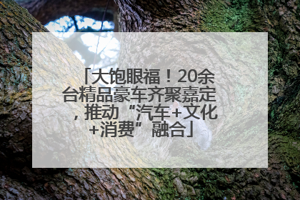 大饱眼福！20余台精品豪车齐聚嘉定，推动“汽车+文化+消费”融合