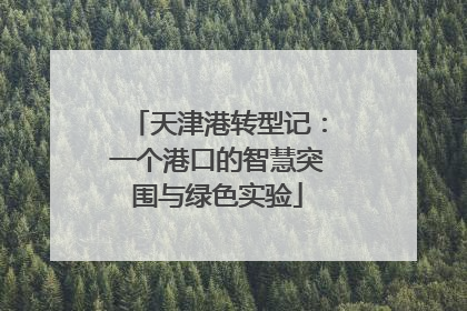 天津港转型记：一个港口的智慧突围与绿色实验