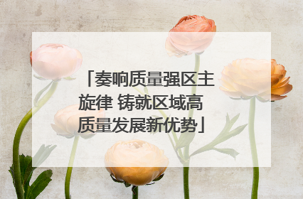 奏响质量强区主旋律 铸就区域高质量发展新优势
