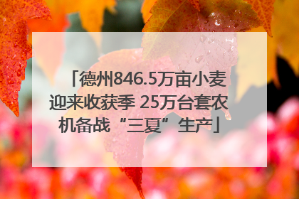 德州846.5万亩小麦迎来收获季 25万台套农机备战“三夏”生产