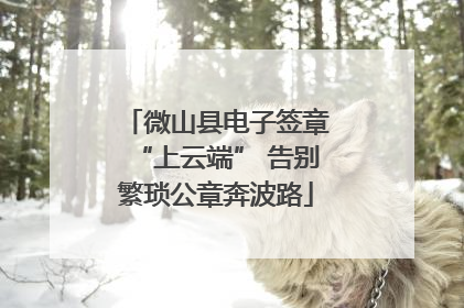 微山县电子签章“上云端” 告别繁琐公章奔波路
