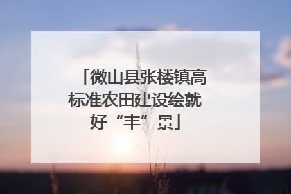 微山县张楼镇高标准农田建设绘就好“丰”景