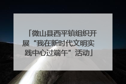 微山县西平镇组织开展“我在新时代文明实践中心过端午”活动