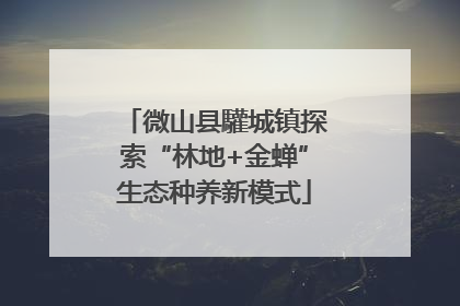 微山县驩城镇探索“林地+金蝉”生态种养新模式