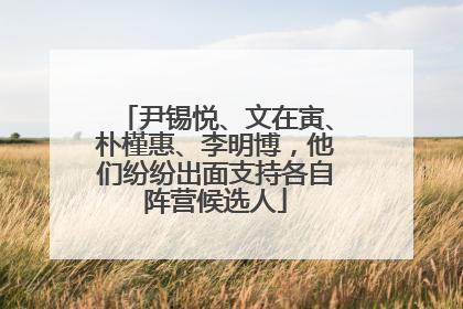 尹锡悦、文在寅、朴槿惠、李明博，他们纷纷出面支持各自阵营候选人