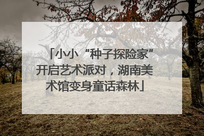 小小“种子探险家”开启艺术派对，湖南美术馆变身童话森林