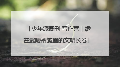 少年派周刊·写作营｜绣在武陵褶皱里的文明长卷