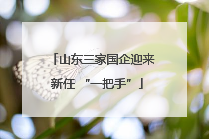 山东三家国企迎来新任 “一把手”