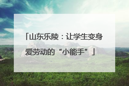 山东乐陵：让学生变身爱劳动的“小能手”