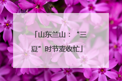 山东兰山：“三夏”时节麦收忙