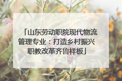 山东劳动职院现代物流管理专业：打造乡村振兴职教改革齐鲁样板